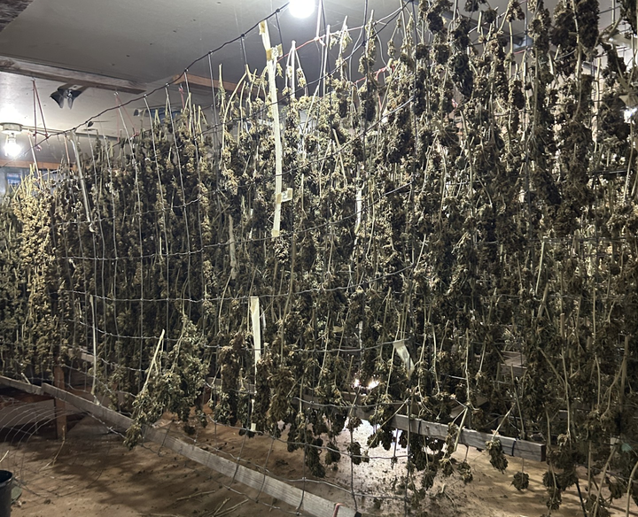 Glendale Marijuana Investigation Leads to Arrest at Douglas County Courthouse